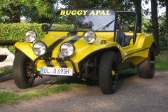 1978 Buggy Apal L