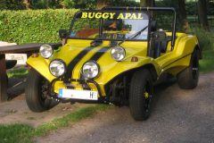 1978 Apal L Buggy